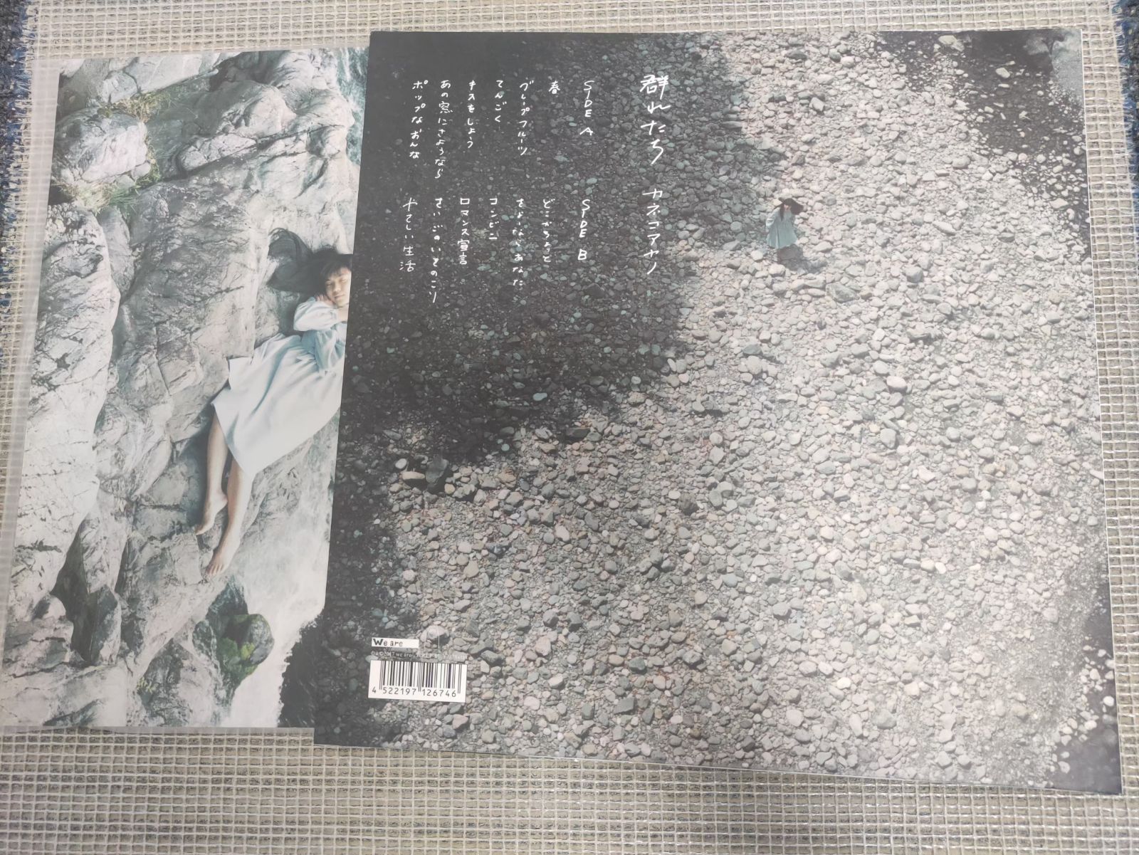 新品未開封】 カネコアヤノ 『群れたち』 アナログ盤 LPレコード