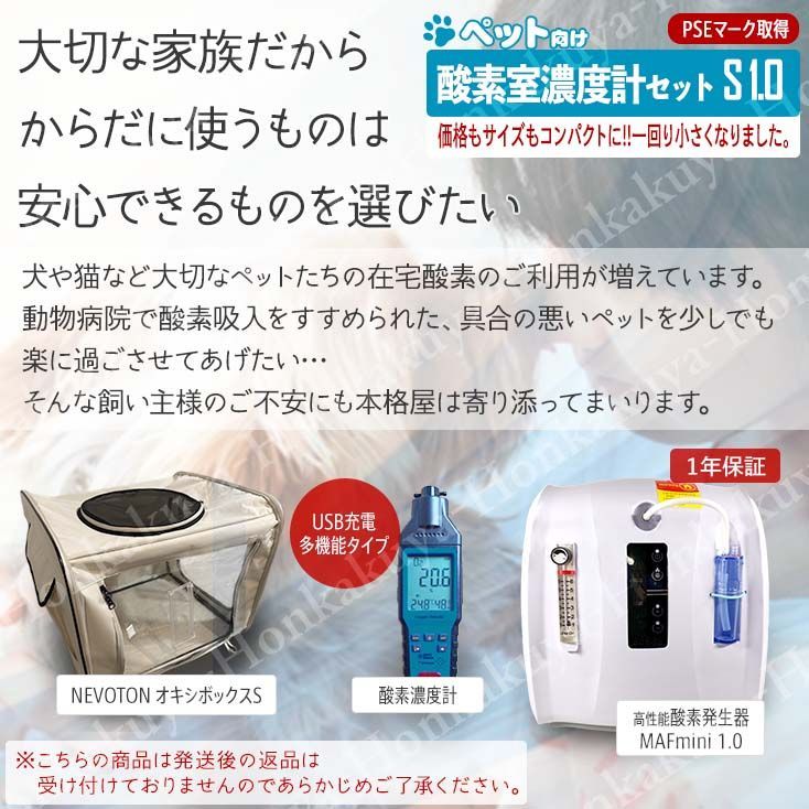 小型犬