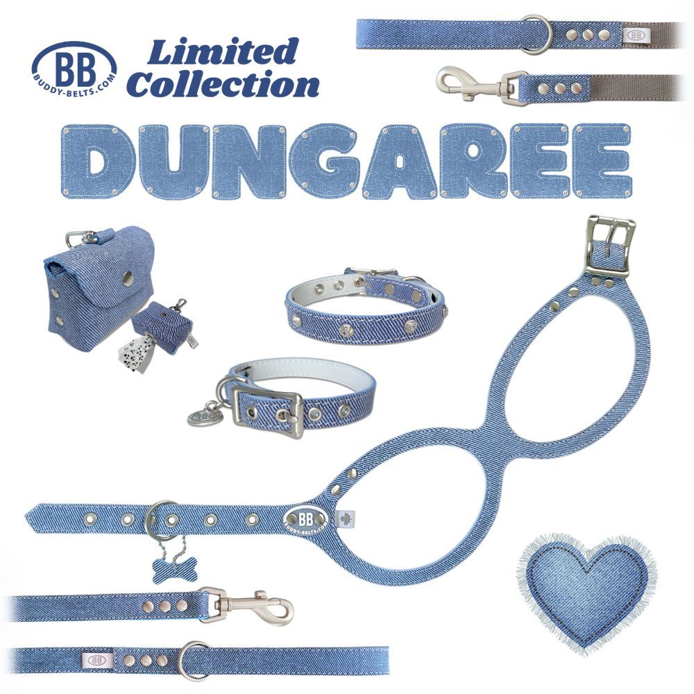 バディーベルト ダンガリー3.5号 Dungaree 獣医師推奨 BBハーネス ペット 犬 レザー 本革 用 BUDDY BELT BUDDYBELT犬 犬用 ペット ドッグ バディベルト正規輸入代理店 正規店