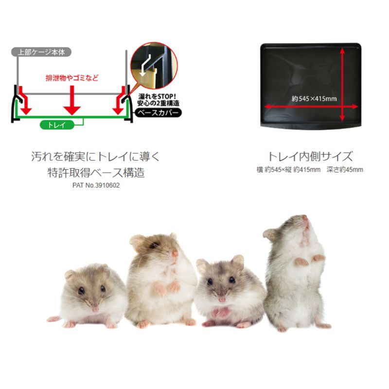 ケージ 多頭飼い