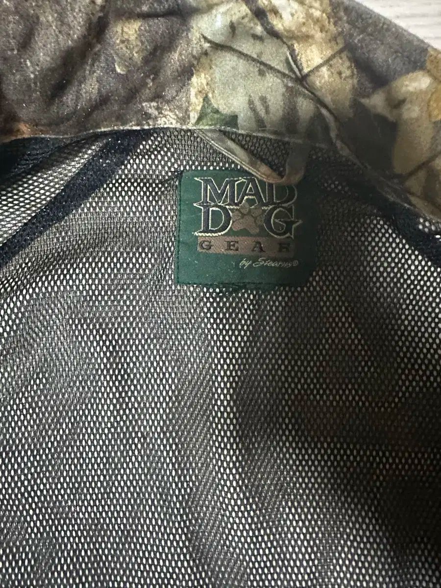 dog gear