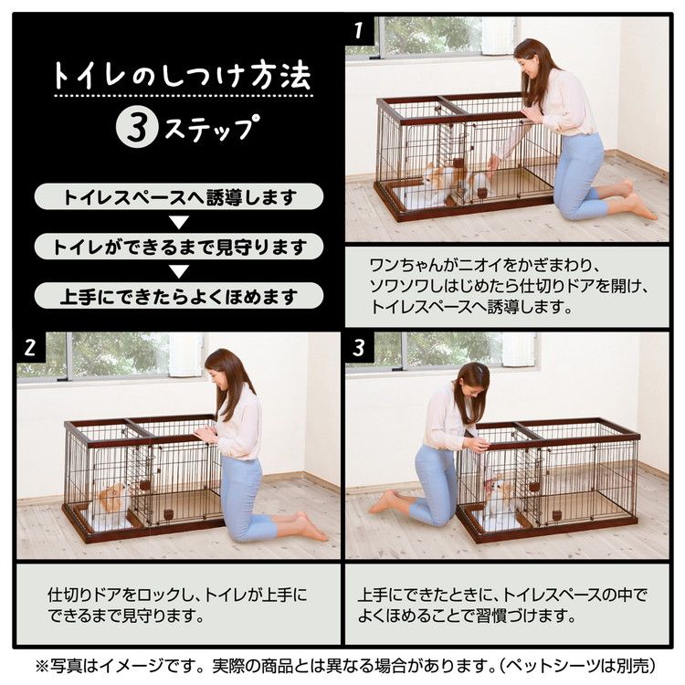 ペティオ