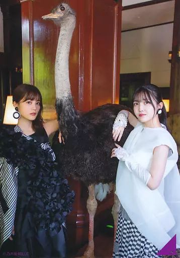 元乃木坂46 生田絵梨花 生写真103枚セット 乃木坂46生田絵梨花、写真集が緊急重版31万部突破 東京Dライブ配信が好