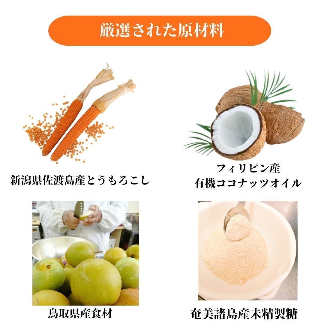 ポップコーン フレーバー 国産 無添加 スイーツ ギフト 御中元 御歳暮 お返し 御礼 お祝い プレゼント 手土産 差し入れ おしゃれ 高級 お菓子 食べ比べ 11種類