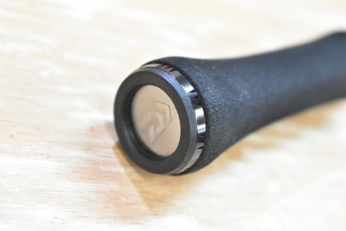 インターライン アオリイカ