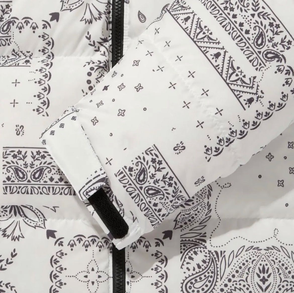 韓国 THE NORTHFACE ホワイトレーベル NOVELTY NUPTSE DOWN JACKET  