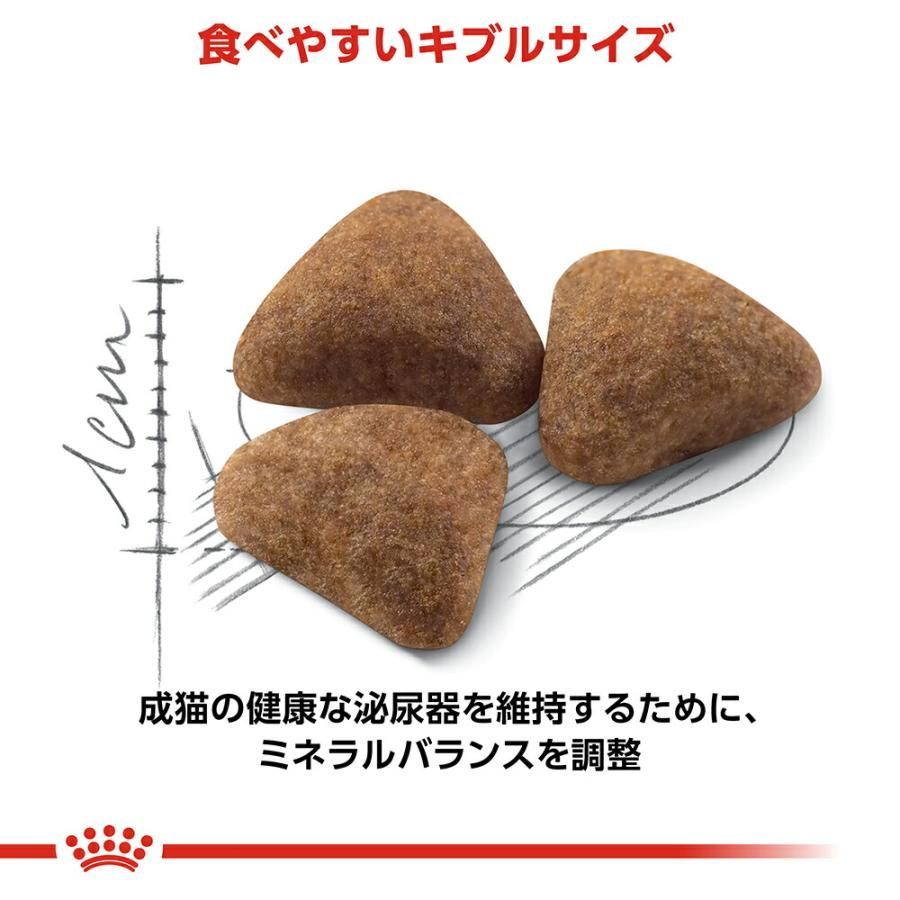 インドア 室内で生活する成猫用