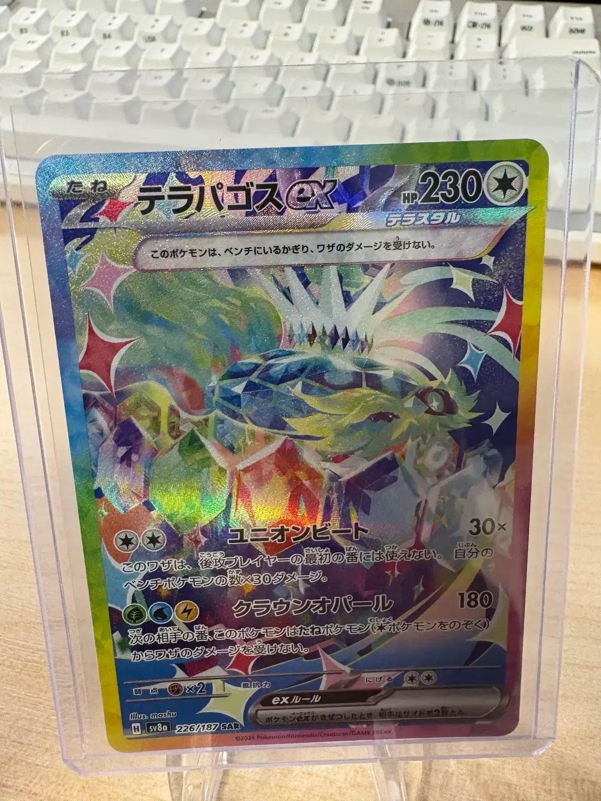 ポケモンカード テラパゴスex SAR ポケモンカード テラパゴスex PSA10