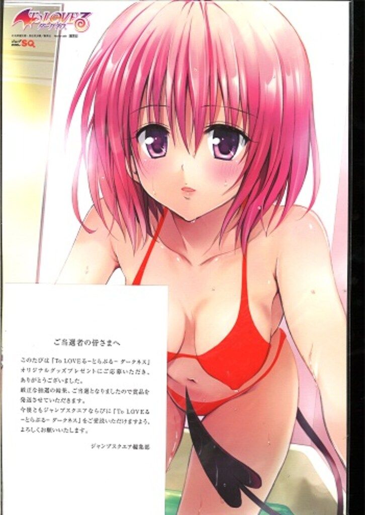 集英社 抽プレ 矢吹健太朗 ToLOVEる-とらぶる-ダークネス お風呂ポスター モモVer.
