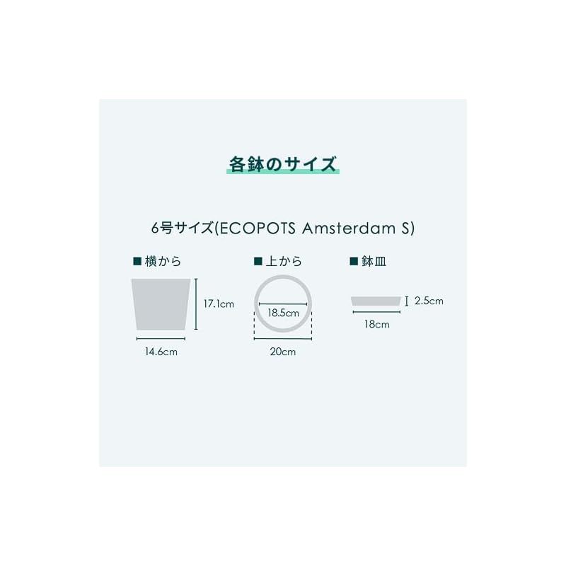 ECOPOTS Amsterdam エコポッツ AND PLANTS アンドプランツ ブラック 鉢S 6号 1 LLC-HASEGAWATOSO_COM