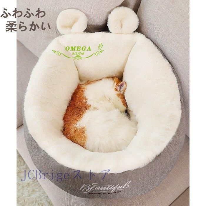 ハウス