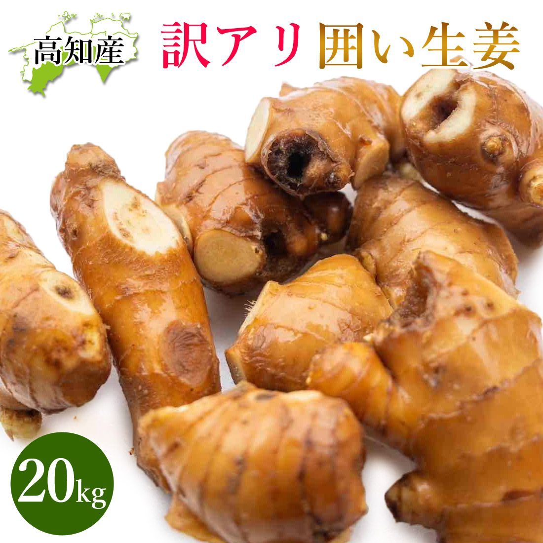 山北産直 生姜 20kg 高知県産 国産 しょうが 農家直送 高知産 ショウガ 20キロ B品 自宅用 業務用 囲い生姜 薬味 ヤマト発送