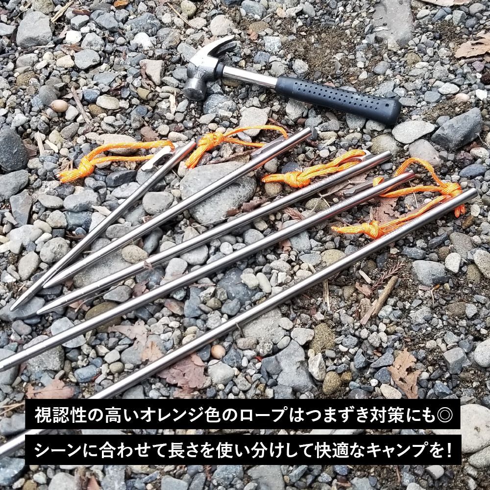 草地 硬い地面