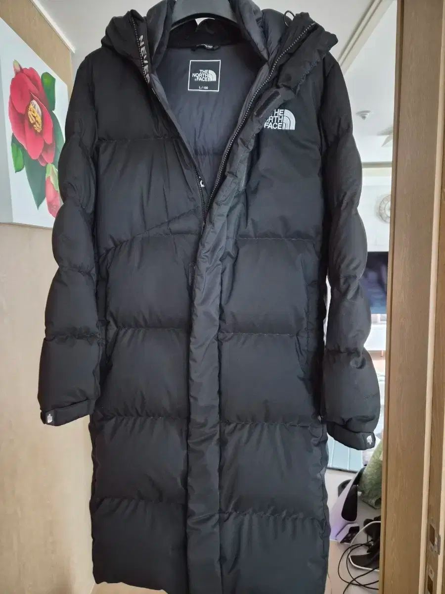 メンズ THE NORTH FACE ザノースフェイス ロング丈ダウンパーカー L S レベル