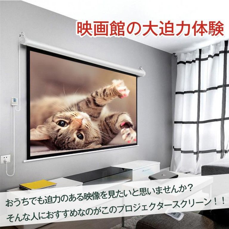 100インチ 大画面プロジェクタースクリーン