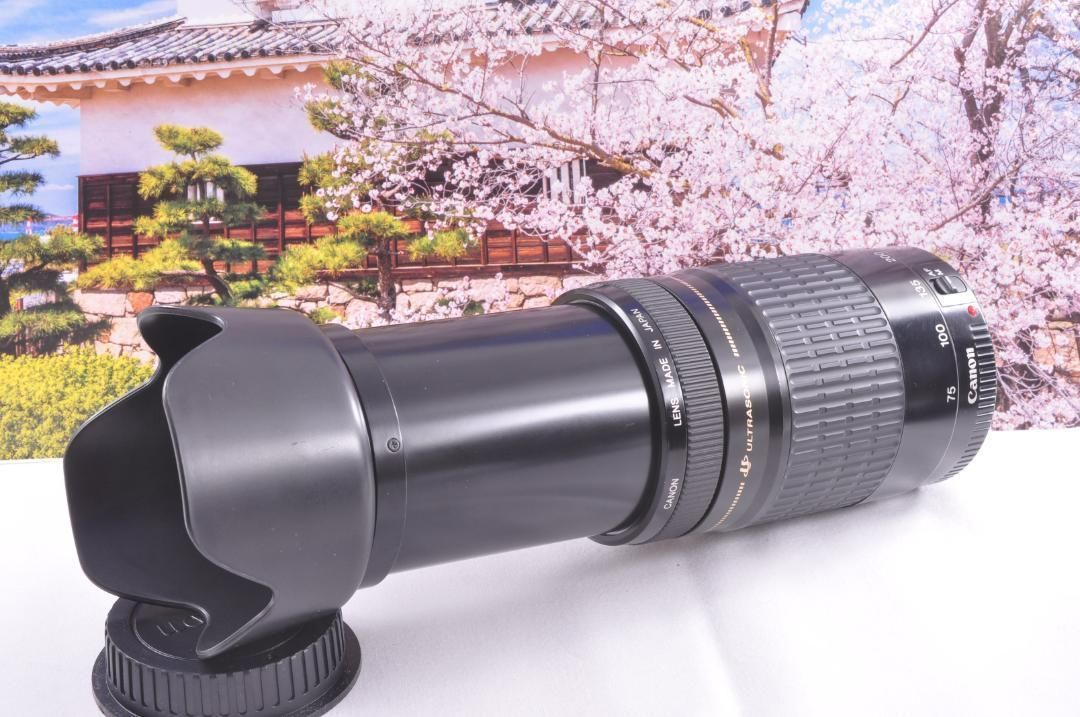 各種イベントに大活躍！キヤノン 望遠レンズ Canon EF75-300mm Zoom LENS 単焦点レンズ フィルムカメラ 交換レンズ 望遠レンズ  一眼カメラ レンズ レンズフード レンズフィルター 美品 送料無料 激安 - メルカリ