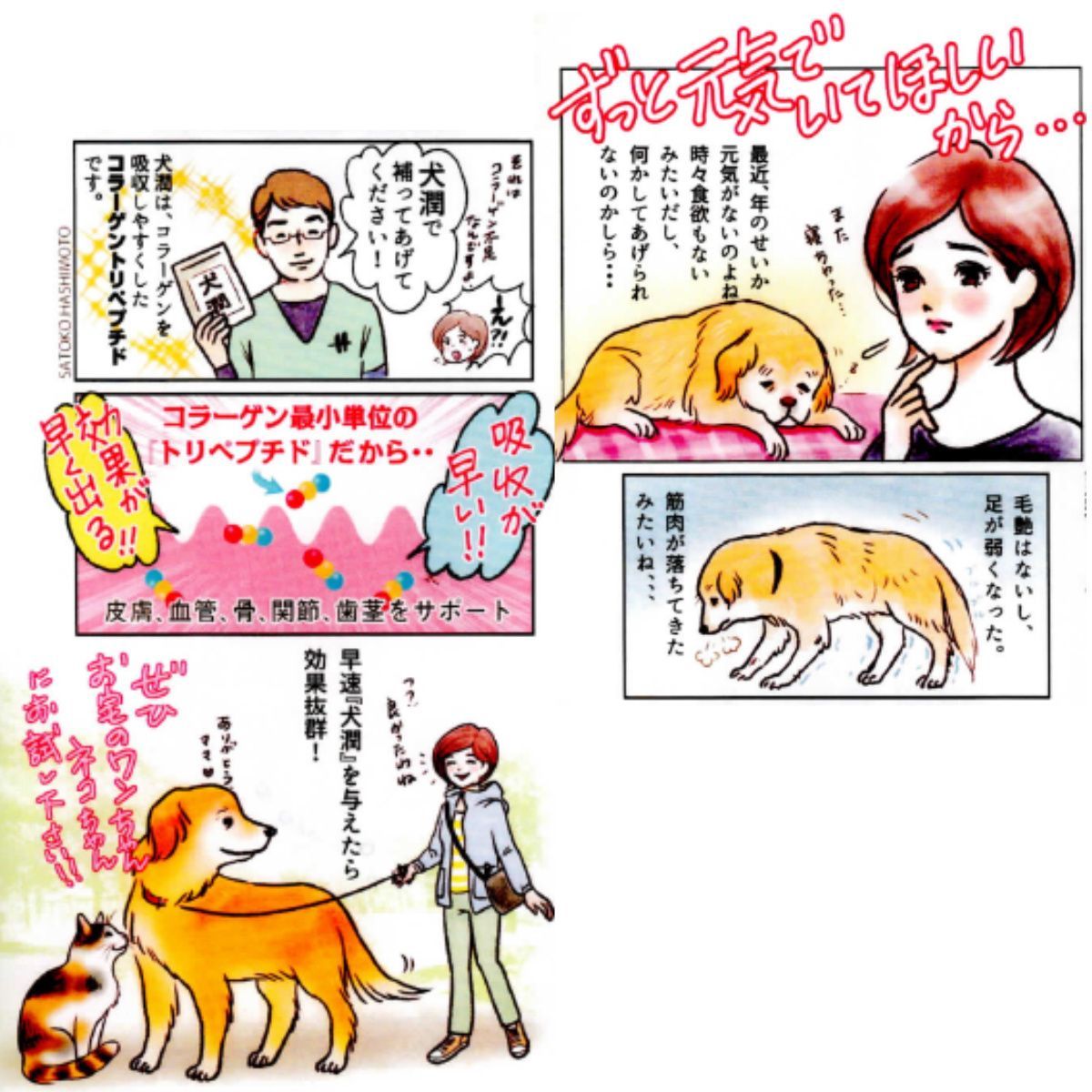 犬 猫 フード 犬潤 300g トリペプチドコラーゲン配合 Wowono 無添加デンタルスティック10本×1袋 セット 老犬 ペットフード WWW_GEBZETESISAT_COM_TR
