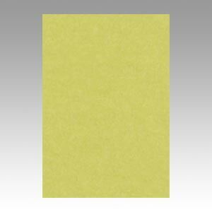 （まとめ） 色画用紙 文運堂 ニューカラーＲ やなぎ 8NCR-106 4954022681067 1冊【×10セット】 9,443円