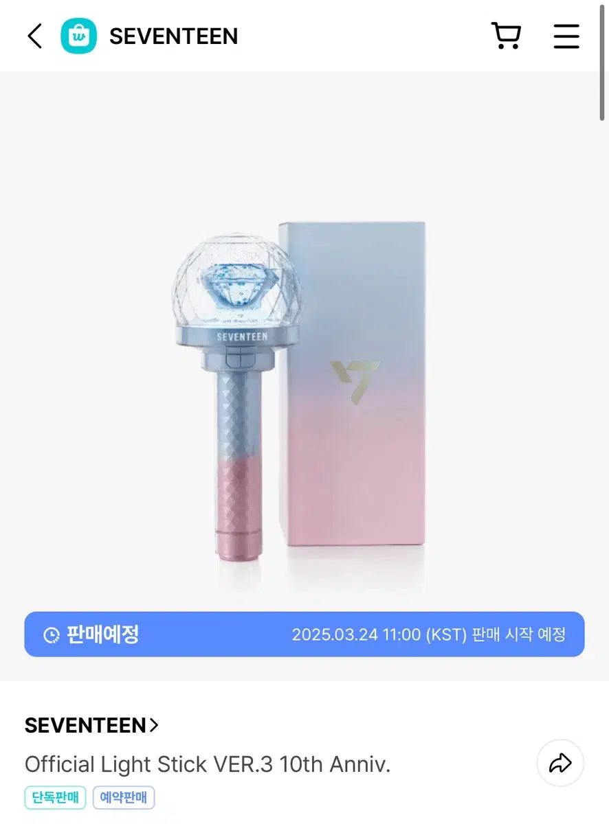 カラット棒　10周年記念　新品未開封 10周年ver ゲーム・おもちゃ・グッズ SEVENTEEN(セブンティーン