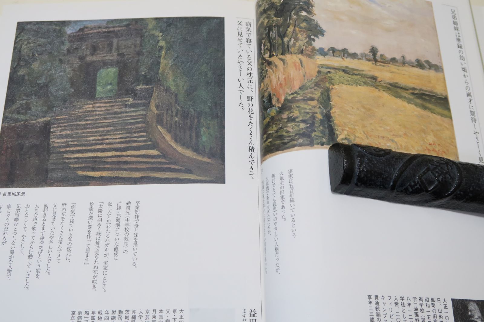 無言館・遺された絵画展/加藤登紀子・野見山暁治寄稿/残された時間の中で家族を兄弟姉妹を故郷を自らをただただ一途に絵を描いて逝ってしまった若者達の絵