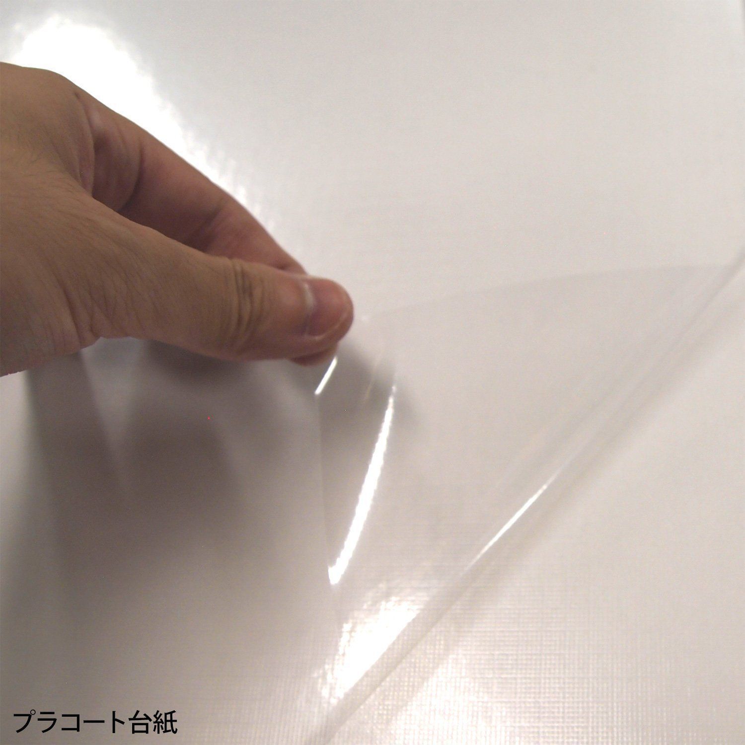 フエルアルバム