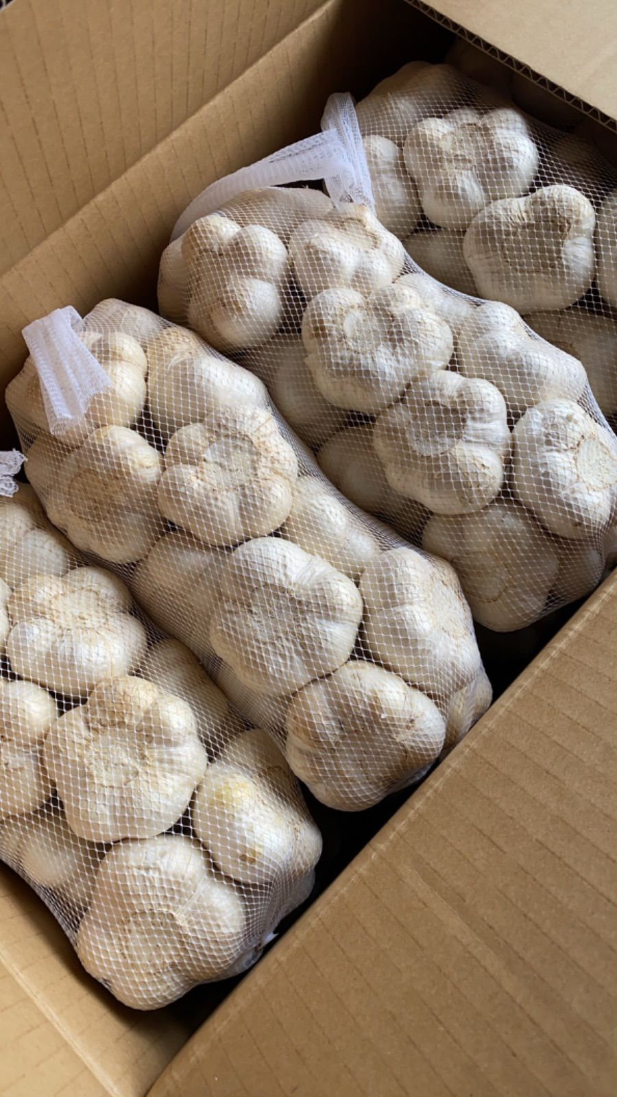 新物 青森県にんにく3Kg Ｌ