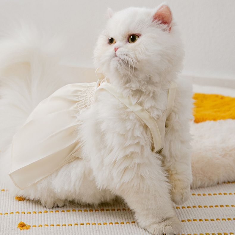 新品 タグ付 フランシュリッペ 猫 犬 鳥 動物総柄 ネコ ワンピース 新品 タグ付 フランシュリッペ 猫 犬 鳥 動物総柄 ネコ ワンピース