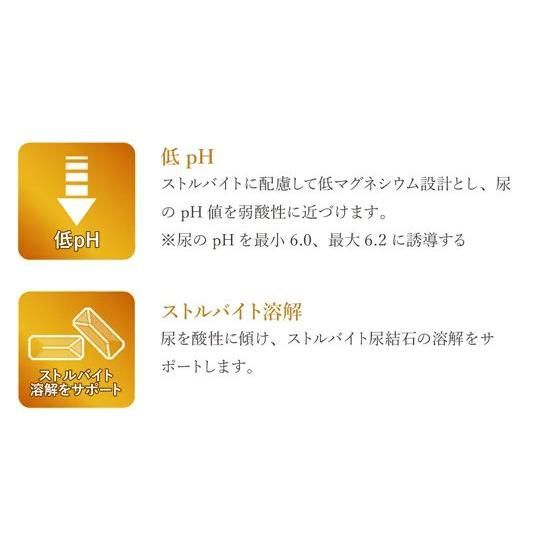 Monge VetSolution 猫用 尿路結石サポート 2kg & 2kg Monge VetSolution 猫用 尿路結石サポート 2kg×2袋 VetSolution