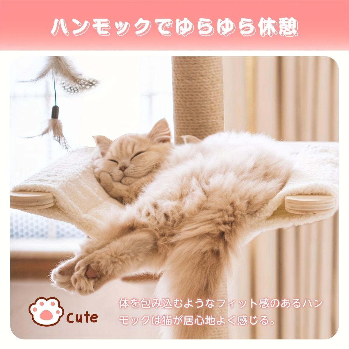 登ったり 運動したりできます