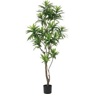 5営業日で発送 造花 グリーン 人工樹木 ソングオブジャマイカ GLP-1556KK GLP-1556KK