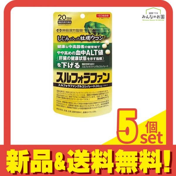 井藤漢方製薬 しじみの入った牡蠣ウコン スルフォラファン 60粒 20日分 5個セット
