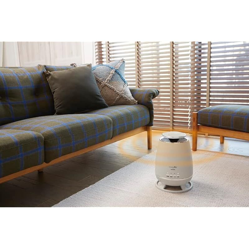 アピックス APIX INTL 360度セラミックヒーター360°立体温風 広範囲 転倒オフスイッチ 強弱切替 送風 APH-362 BK 0