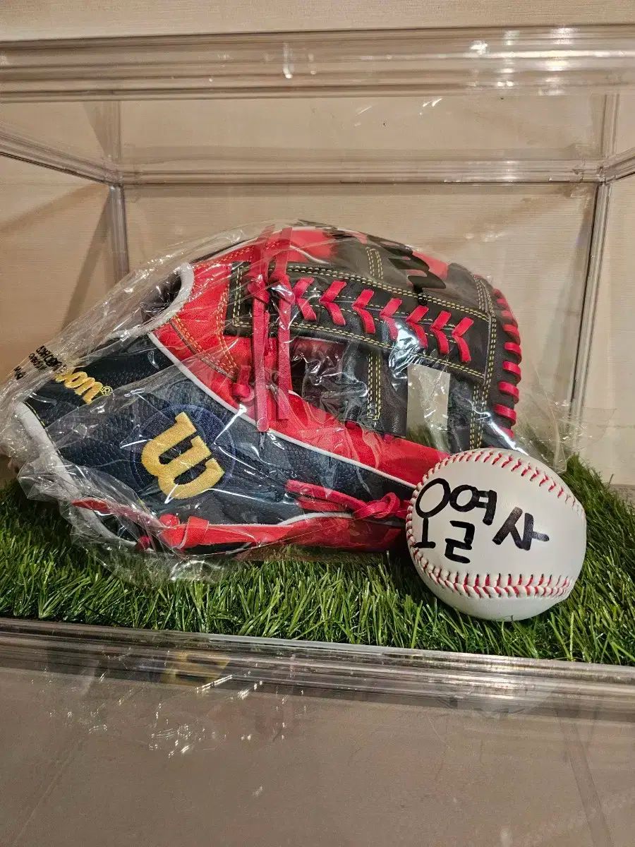 ウィルソンKorea A