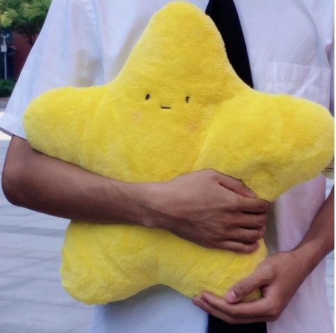 ぬいぐるみのかわいい星の抱き枕