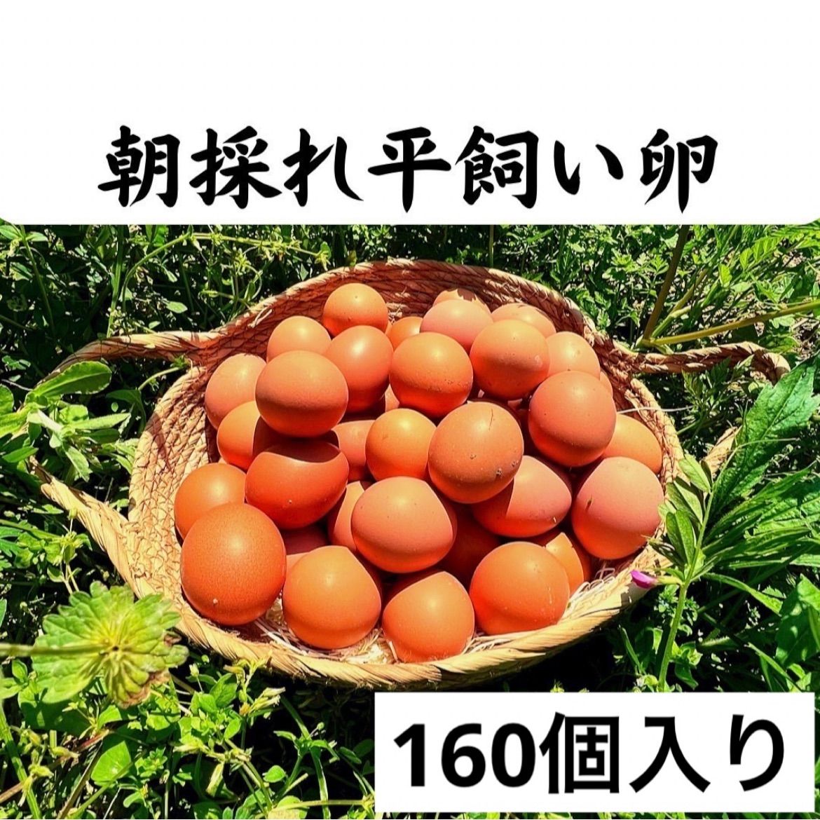 160個入り　佐伯養鶏の朝採れ平飼い卵 食品 160個入 佐伯養鶏の朝採れ平飼い卵