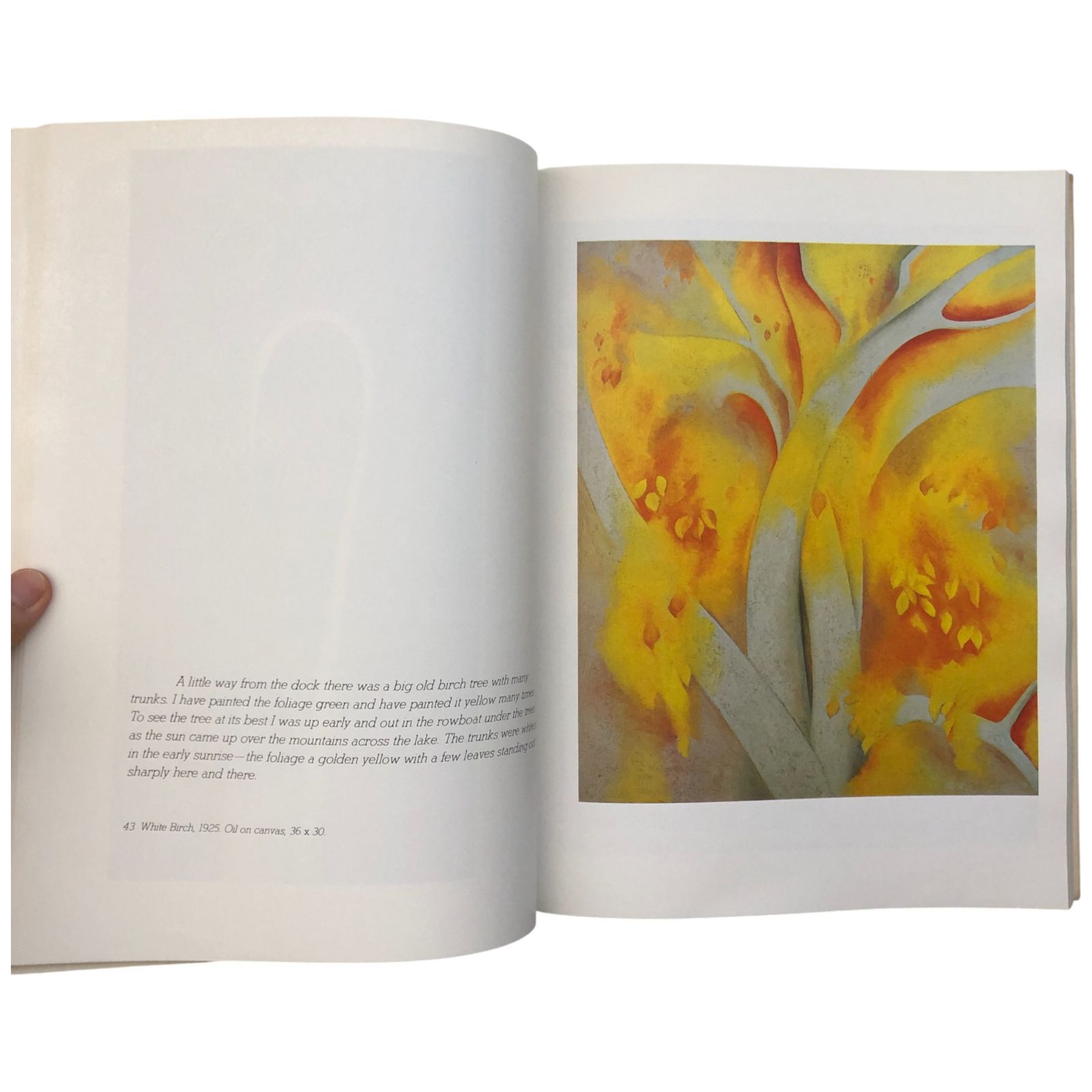 IA O'KEEFFE ジョージア・オキーフ 作品集 Amazon.co.jp: 洋書 Georgia O'Keeffeジョージア オキーフ 絵画