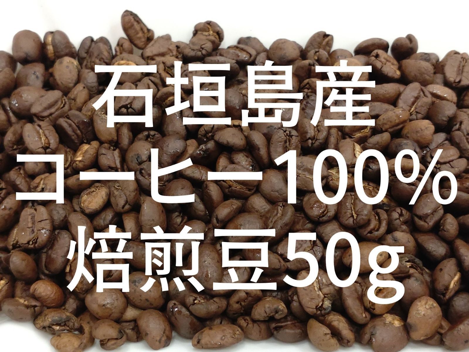 希少！【幻の石垣島産コーヒー100％】☆コーヒー生豆500g入☆必見国産コーヒー - コーヒー