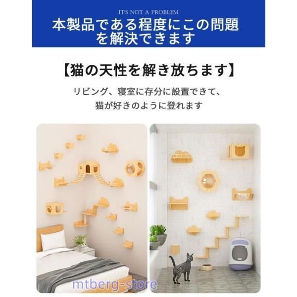 キャットウォーク