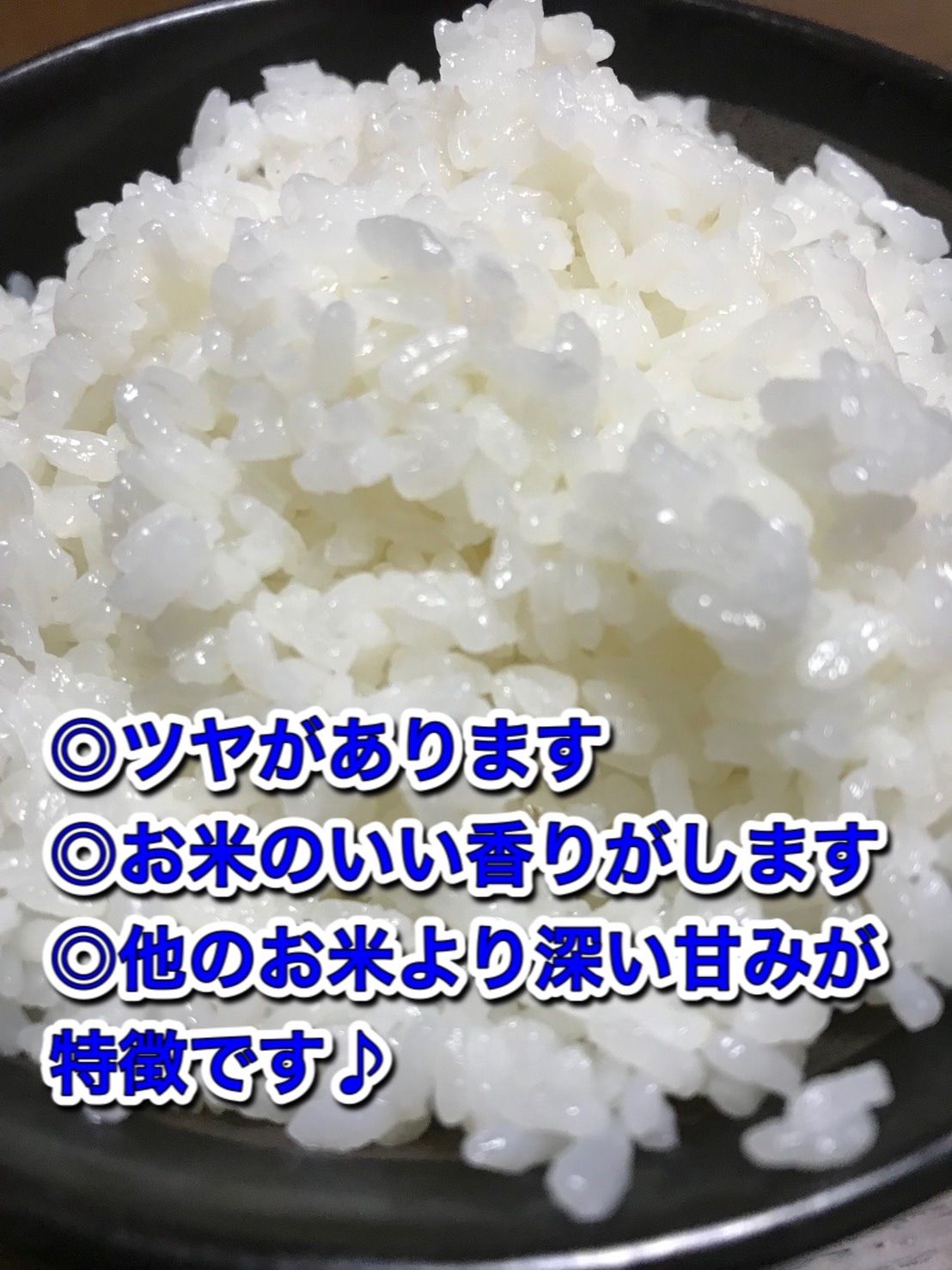 令和4年産新米】コスパ米 白米 20kg(5kg×4) 送料無料！ お米 - OKB