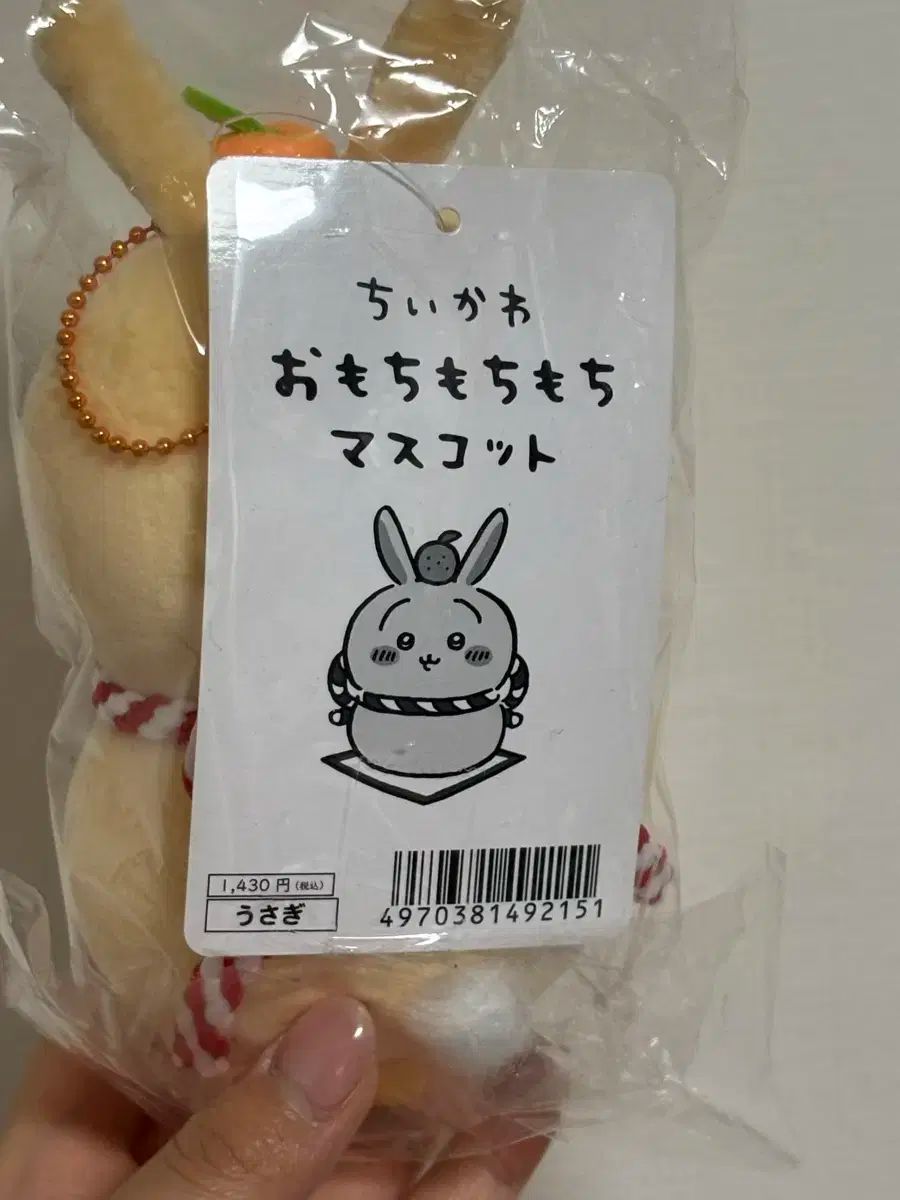 みかんを買う