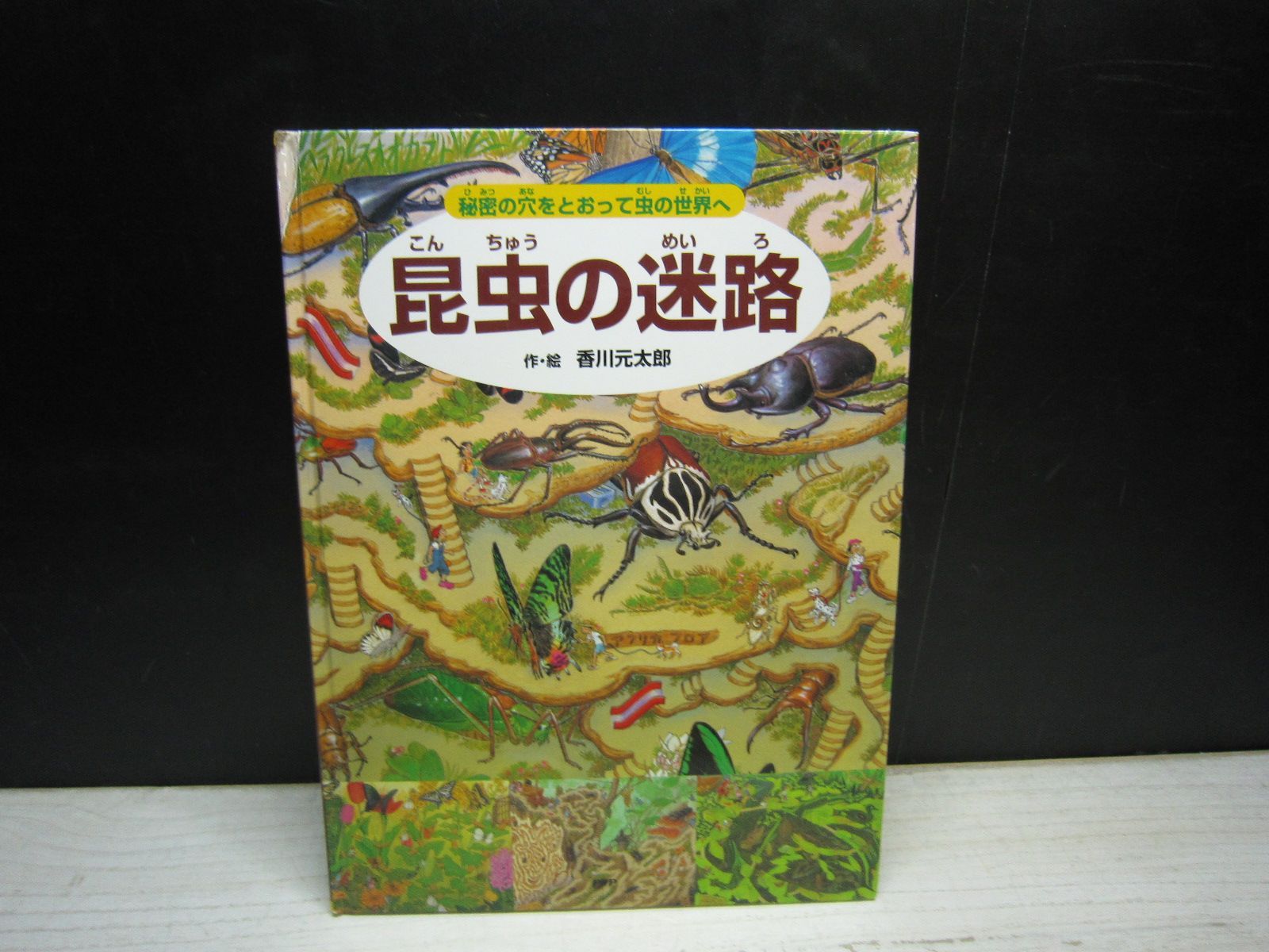 絵本】昆虫の迷路 秘密の穴をとおって虫の世界へ - メルカリ