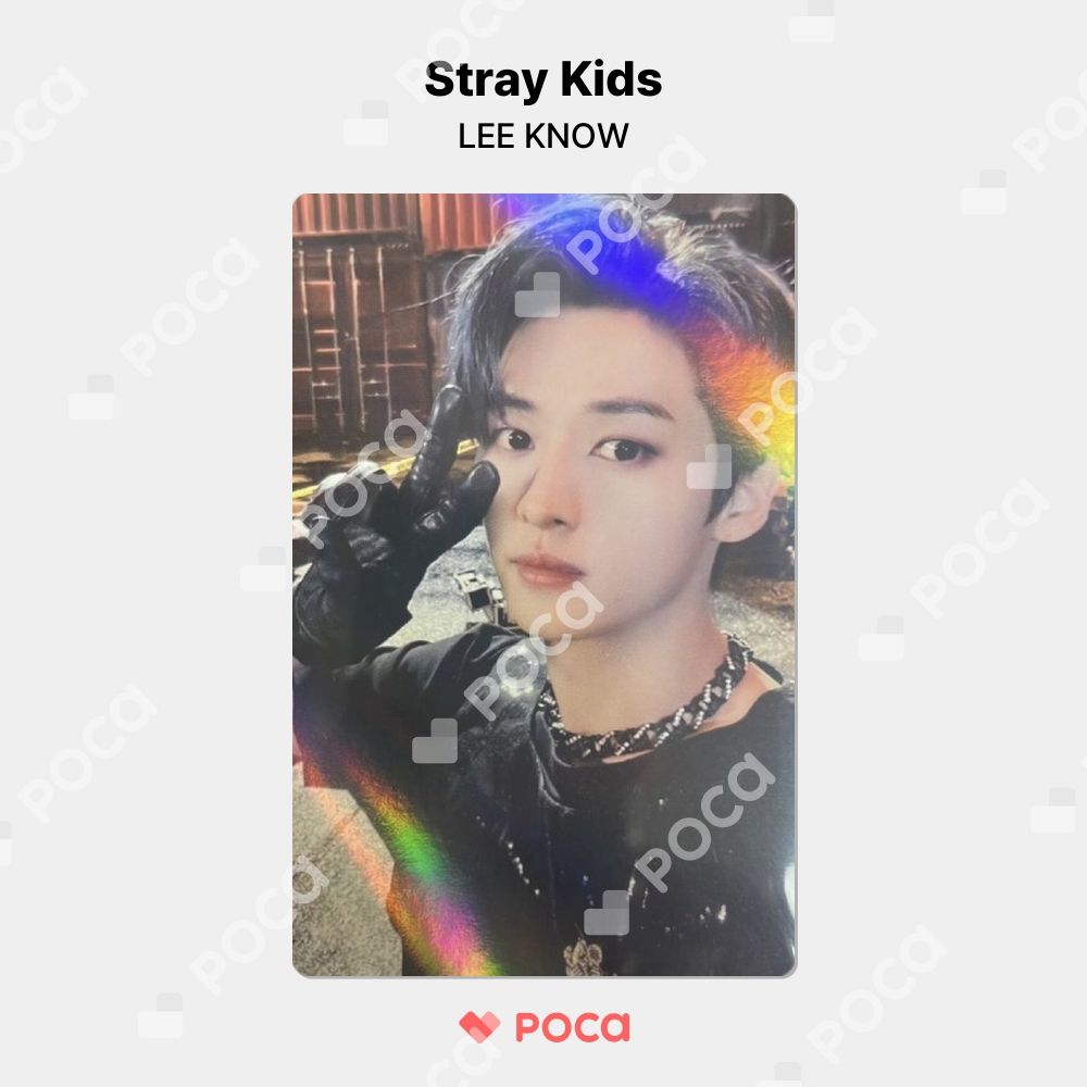 straykids リノ トレカ MAXIDENT makestar 店舗特典 maxident リノ