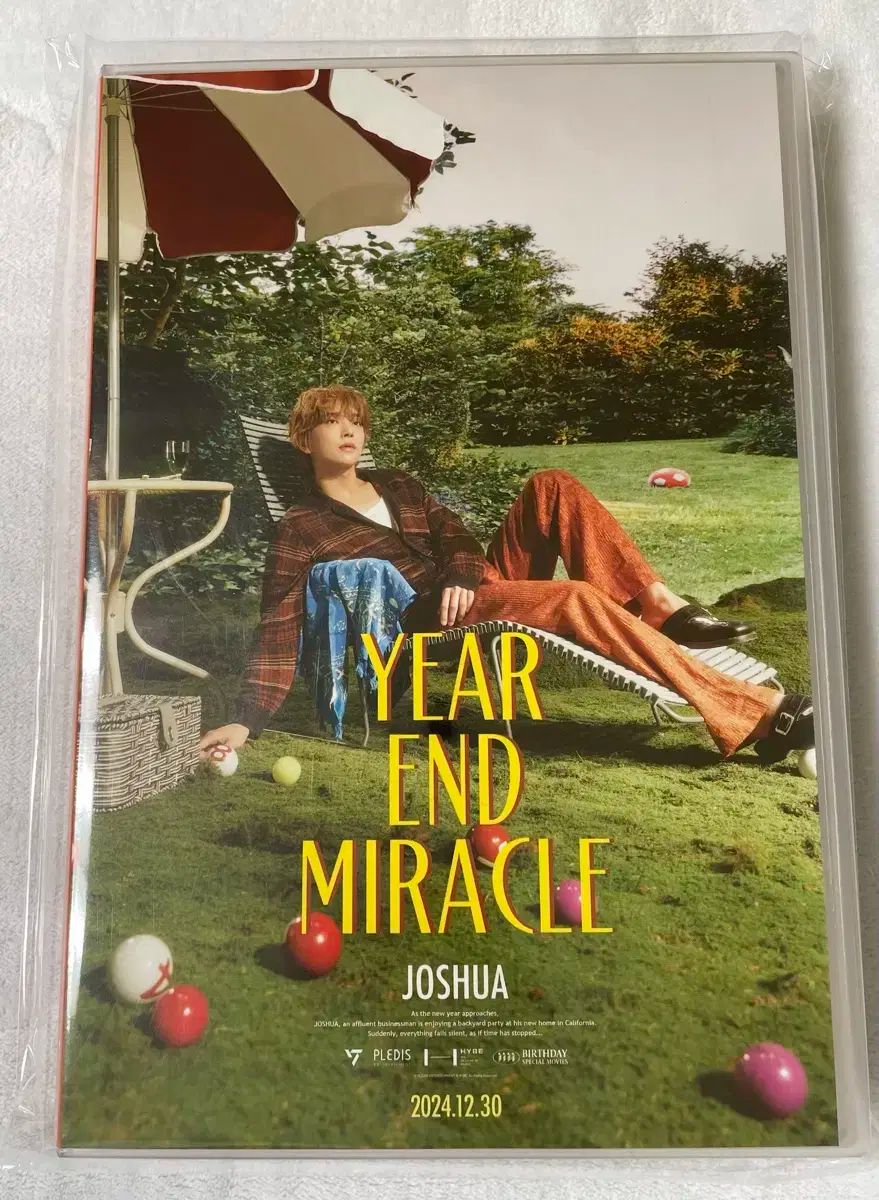 SEVENTEEN(セブンティーン・セブチ) JOSHUA センイルボックス ver4