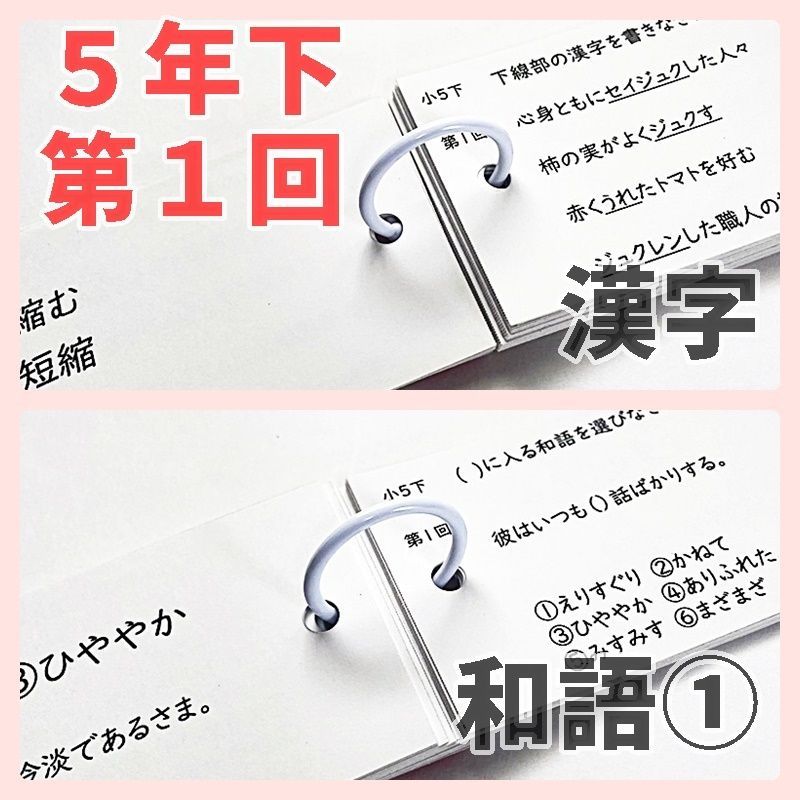5K6】予習シリーズ5年下 漢字とことば 第1～18回 組分けテスト 中学