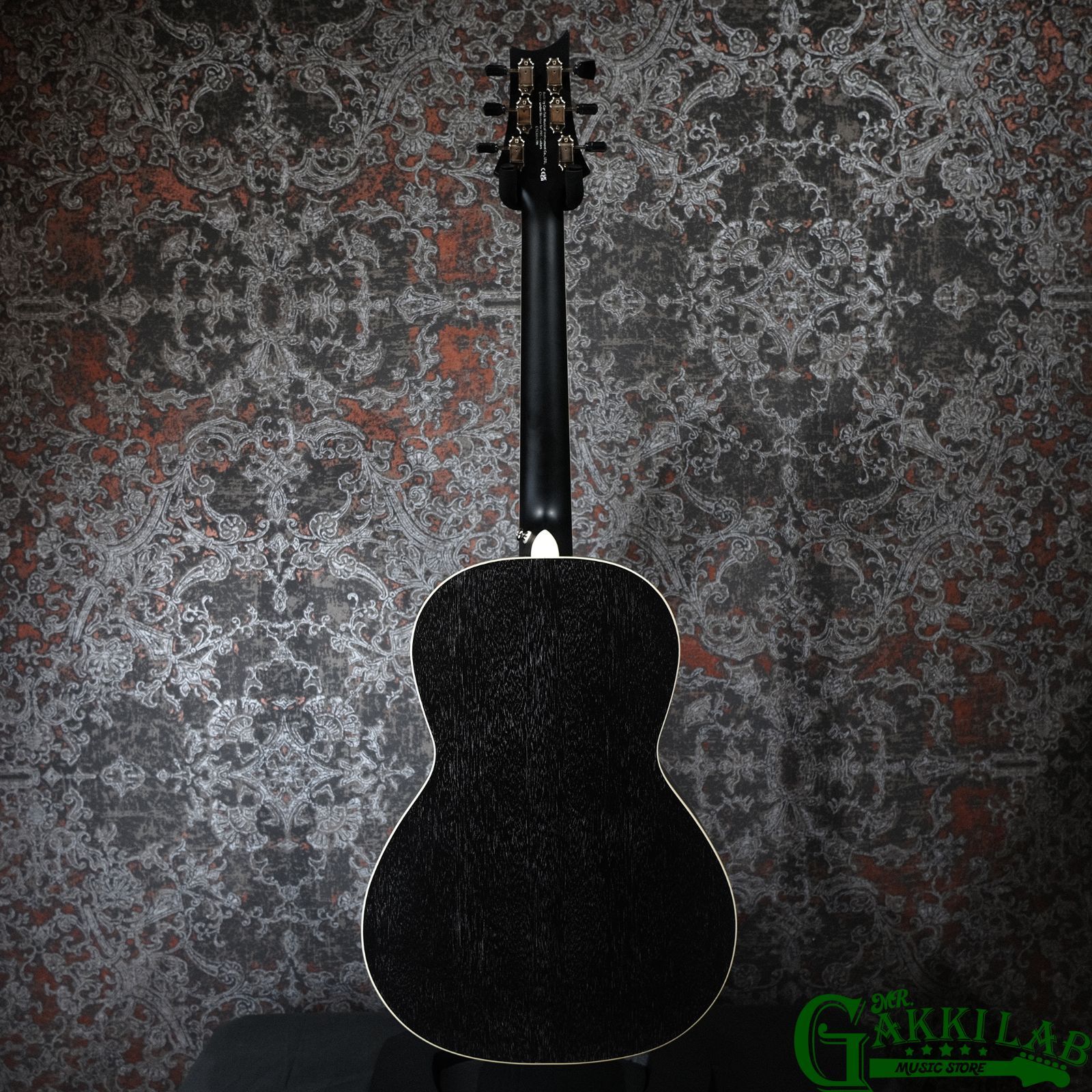 Paul Reed Smith(PRS) SE P20E Dog Hair w/ Fishman Presys VT Pickup