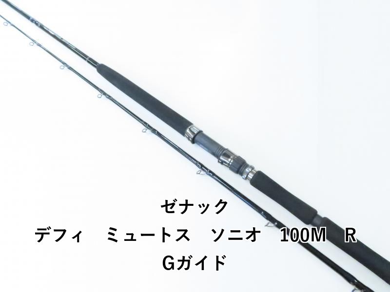 ゼナック デフィ ミュートス ソニオ 100M RGガイド (02