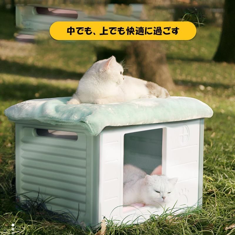 中型犬