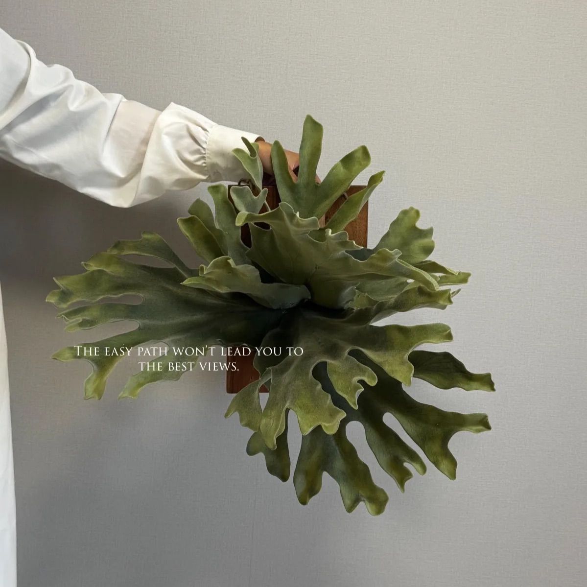 アーテルゴルギーニ a1枚 SR3枚 アーテル・ゴルギーニ【SR】{23RP3S3