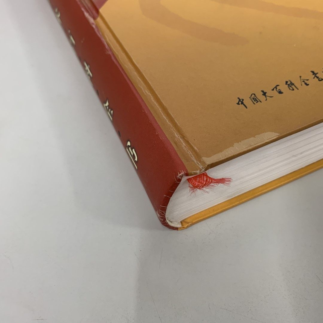 ▲01)【同梱不可】中国武術百科全書/中国大百科全書出版社/1998年/中文書/A △01)【同梱不可】中国武術百科全書/中国大百科全書出版社/1998