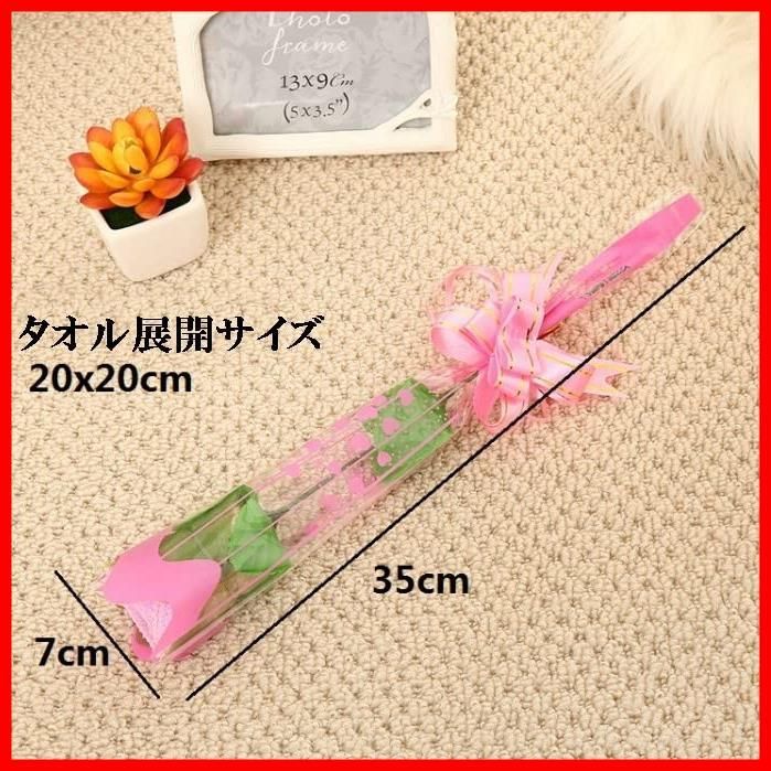 ミニタオル 10本